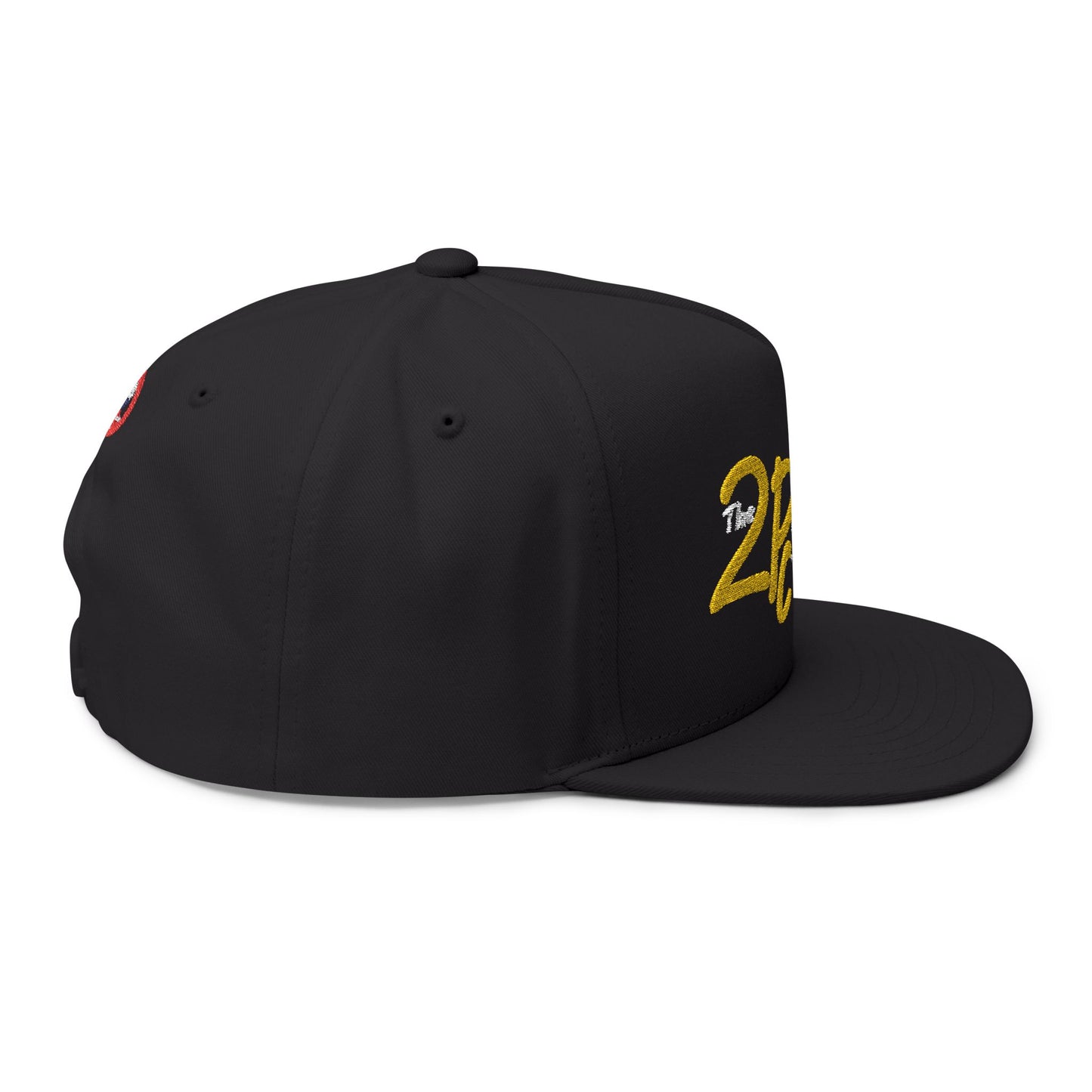 The 2Pc Special- Anti-Sambo Embroidered Baseball Cap